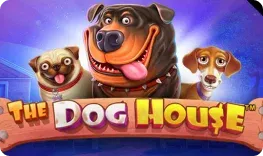 The Dog House — слот в AmonBet Casino